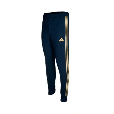 Pantaloni  Real Zaragoza Pre-Match 2023-2024 da Bambino