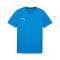 Maglia Puma teamGOAL Cotton