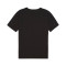 Maglia Puma teamRISE Matchday m/c