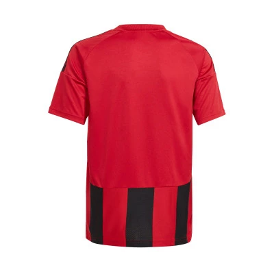 Maglietta Striped 24 m/c