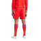 Pantaloncini adidas Tiro 24