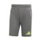 Pantaloncini adidas Tiro 24 Competition