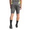Pantaloncini adidas Tiro 24 Competition