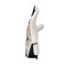 Guanti Uhlsport Absolutgrip Foam Germany Euro24