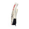 Guanti Uhlsport Absolutgrip Foam England Euro24
