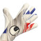 Guanti Uhlsport Absolutgrip Foam France Euro24