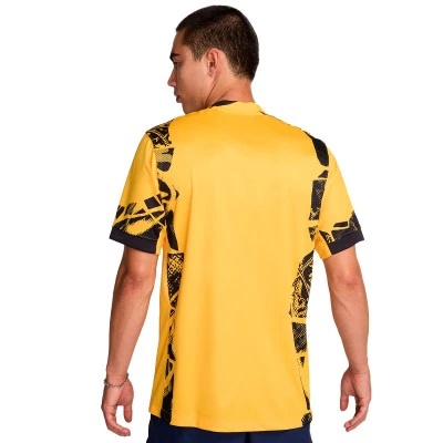 Maglia Inter Third 2024-2025