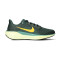 Scarpe Nike Air Zoom Pegasus 41