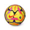 Pallone Nike Premier League 2024-2025 Academy