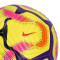 Pallone Nike Premier League 2024-2025 Academy