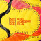 Pallone Nike Premier League 2024-2025 Academy Plus