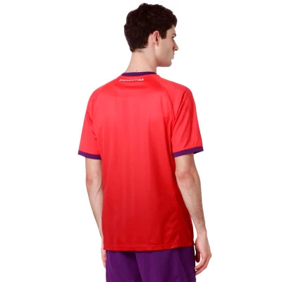 Maglia Fiorentina Third 2024-2025