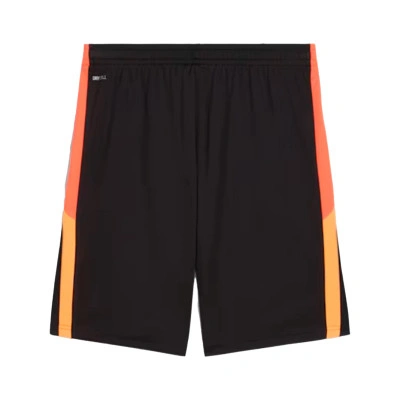 Pantaloncini Individualliga Training Shorts 2