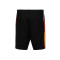 Pantaloncini Puma Individualliga Training Shorts 2 Jr