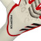 Guanti adidas Predator Pro Hybrid
