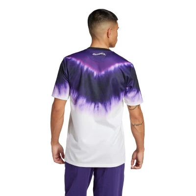 Maglia Real Madrid Fanswear 2024-2025