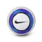 Pallone Nike Premier League 2024-2025 Flight