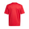 Maglia adidas Tiro 24 m/c Niño 24/25 Real Murcia CF SAD