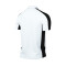 Polo Nike Academy 23 m/c FC Milanese 1902