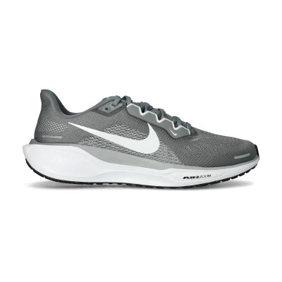 Scarpe Air Zoom Pegasus 41
