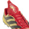 Scarpe adidas Predator Precision Elite FG ZZ