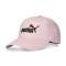 Cappello Puma Essentials Logo