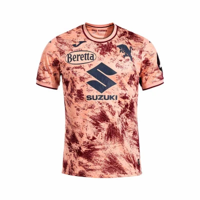 Maglia Torino Third 2024-2025