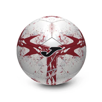 Pallone Torino 2024-2025