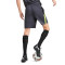 Pantaloncini Puma Individualliga Training Shorts 2 (Open Pockets)