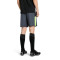 Pantaloncini Puma Individualliga Training Shorts 2 (Open Pockets)