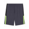 Pantaloncini Puma Individualliga Training Shorts 2 (Open Pockets)