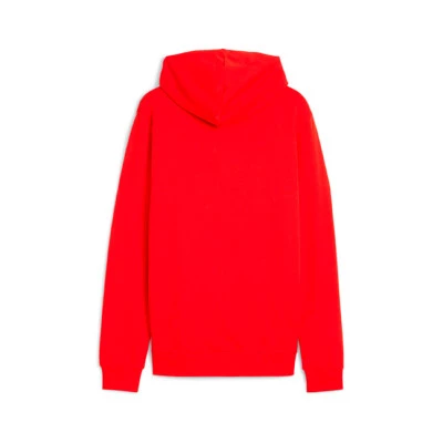 Felpa Con Cappuccio teamGOAL