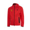 Giacca Nike RCD Mallorca Sportswear Tech Fleece Windrunner Hoodie