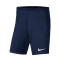 Pantaloncini Nike Park III Knit CD Denia