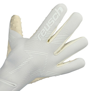DORSO-2