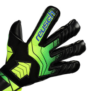 DORSO-2