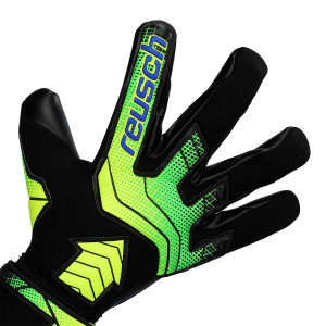 DORSO-2