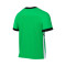 Maglia Nike Academy 25