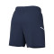 Pantaloncini Nike Academy 25