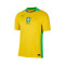Maglia Nike Brasile Home Coppa America femminile 2025