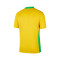 Maglia Nike Brasile Home Coppa America femminile 2025