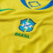 Maglia Nike Brasile Home Coppa America femminile 2025 da Donna