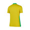 Maglia Nike Brasile Home Coppa America femminile 2025 da Donna