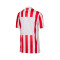 Maglia Nike Atlético de Madrid Home 2025-2026 da Bambino