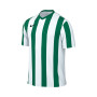 Striped Division V m/c-White-Pine Green-White