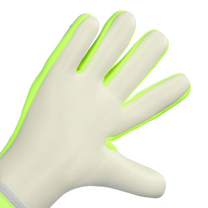 PALMO-1