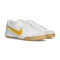 Scarpe Nike Gato