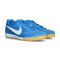 Scarpe Nike Gato
