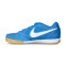 Scarpe Nike Gato