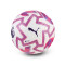 Pallone Puma Orbita Cup Premier League 2025-2026